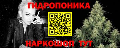 мдпв Славгород