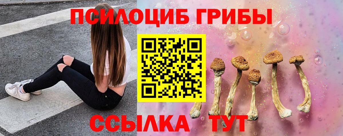 Псилоцибиновые грибы мухоморы Новый Уренгой