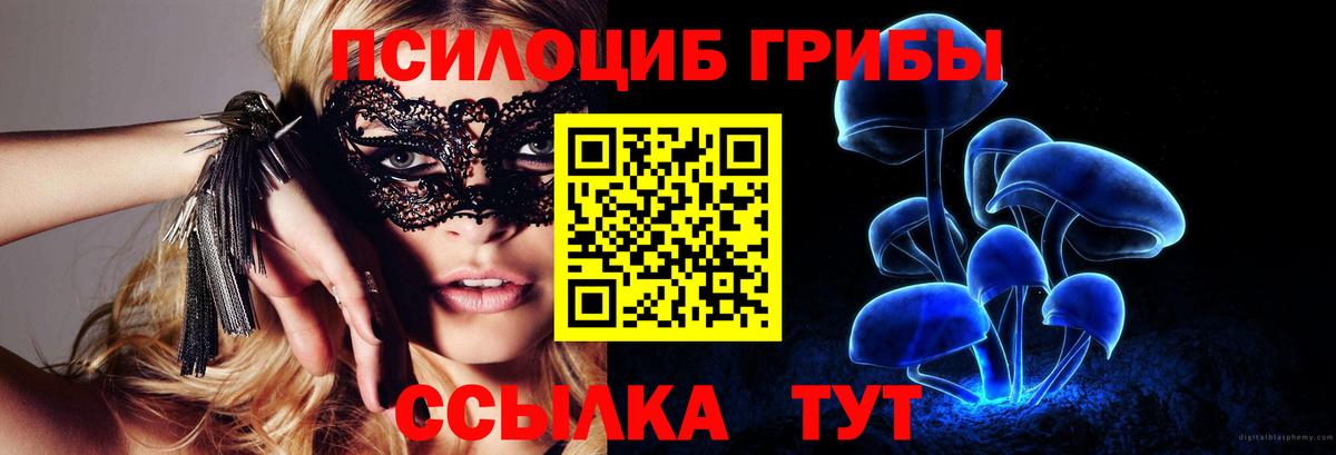 Галлюциногенные грибы MAGIC MUSHROOMS  Вход с VPN  Новый Уренгой 